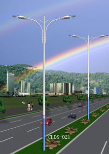 西藏LED路灯与高杆灯产品全解析——聚焦中国照明网推荐厂家